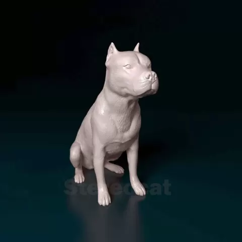 Pitbull by Giunninen Andrei