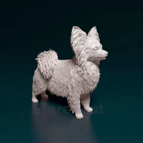 Papillion by Giunninen Andrei