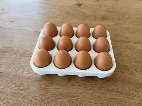 12 Eggs holder