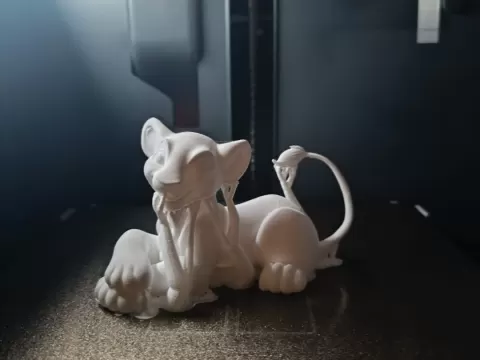 Nala del re leone