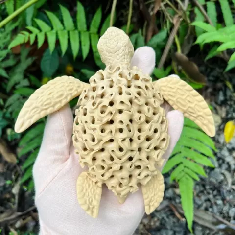 Flexi Coral turtle by MELS 3D LABS