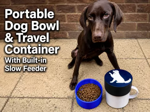 Dog Bowl With Slow Feeder & Travel Container