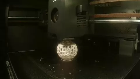 Cat ball