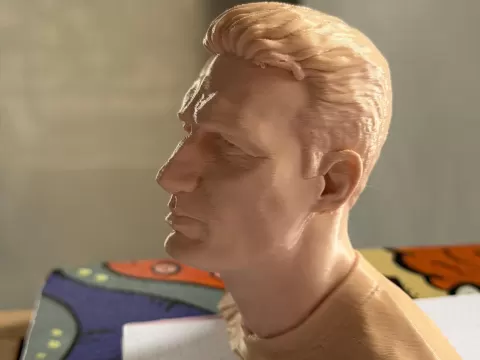 Busto Scaloni