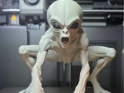THEM 1947 Disclosure Alien Greys THE INTIMIDATOR
