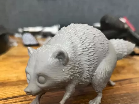 Jimothy Raccoon