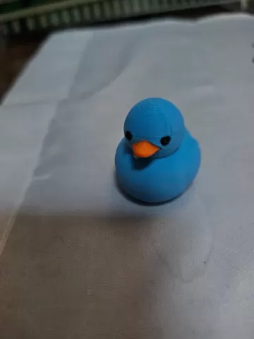 Simple Blue Duck