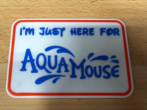 Disney Cruise Line AquaMouse Magnet