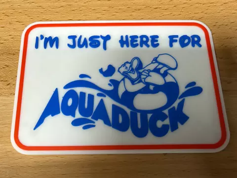Disney Cruise Line Aquaduck Magnet