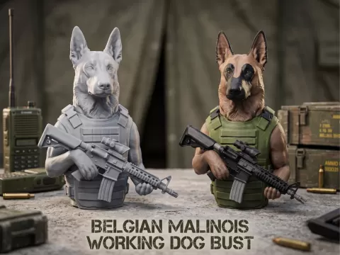 Belgian Malinois Working Dog Bust