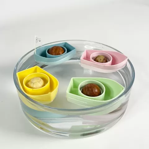 Avocado boat V2.0! Grow your own avocado tree!