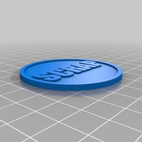 Two Sided Scrap Coin