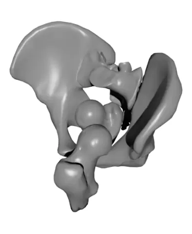 IR procedure pracice model