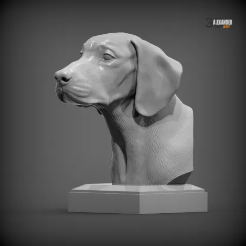 Posavac Hound Bust STL for 3D Printing | Realistic Croatian Hunting Dog Sculpture by Alexander3dart
