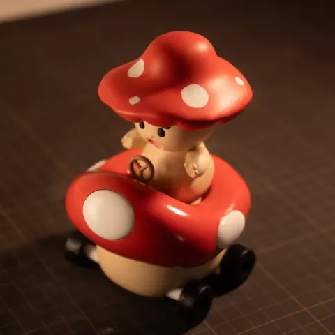 Zoom Shroom
