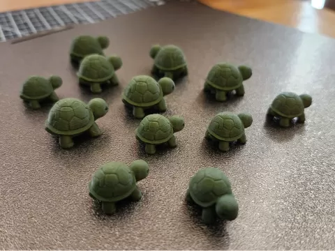 Mini Turtle