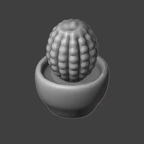 Potted Plants 5