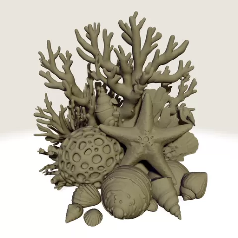 CORAL AND SEA ELEMENTS