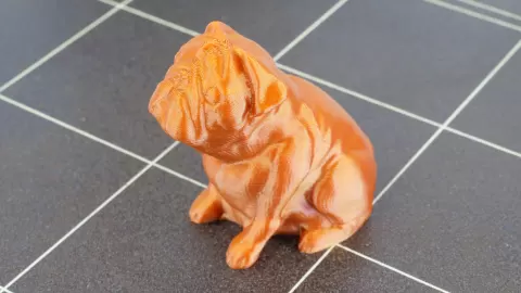 Josef Prusa's pug Buddy
