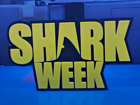 Shark Week