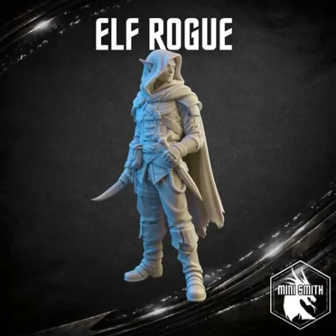 Elf Rogue