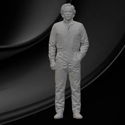 dale earnhardt 70`s