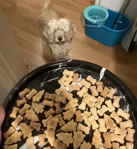 Bone Cookie cutter V1
