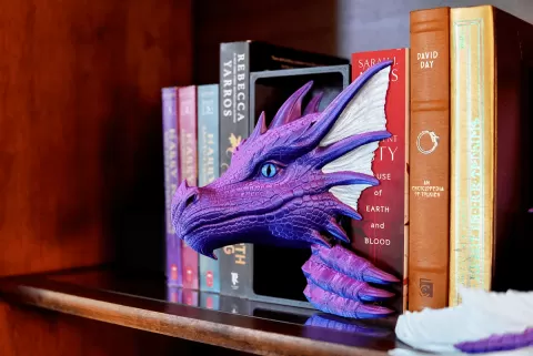 Sea Dragon Emerging Book Nook