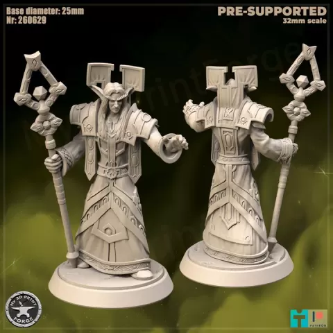 Night Elf Priest Tier1 Attack by My3DPrintForge