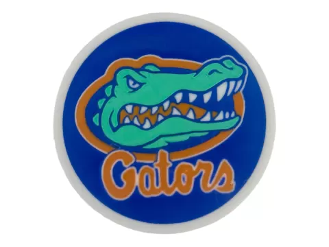 Florida Gators coaster