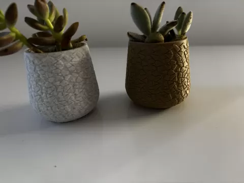 Vaso pequeno relvo de pedra