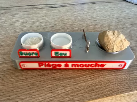 Piège à mouche