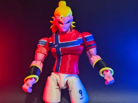 Haaland X Buu action figure