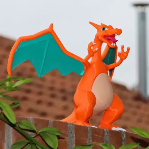 Charizard By Colors