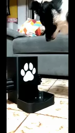 Interactive Spin Puzzle, Dog Treat Dispenser
