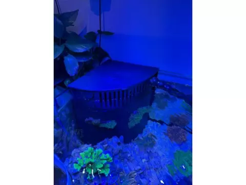 Aquarium Overflow Cover