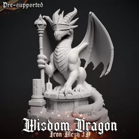 Dragon Mage by Iron-Mesh-3D