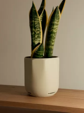 Modern Planter Facets | drainage built in
