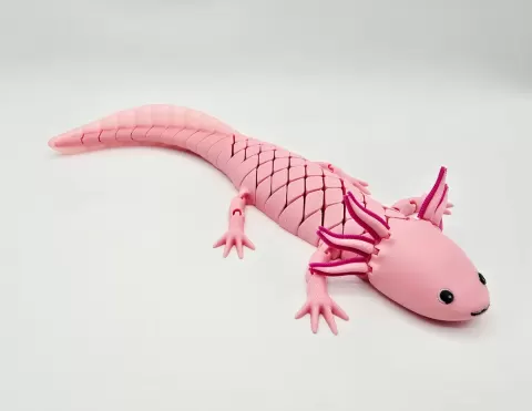 Flexi Hybrid Axolotl