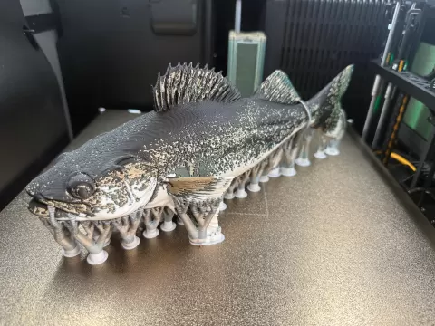 WALLEYE