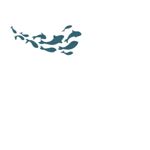 Peces 1