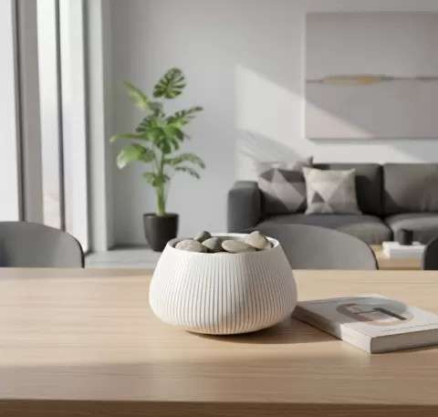 Modern Bowl Home