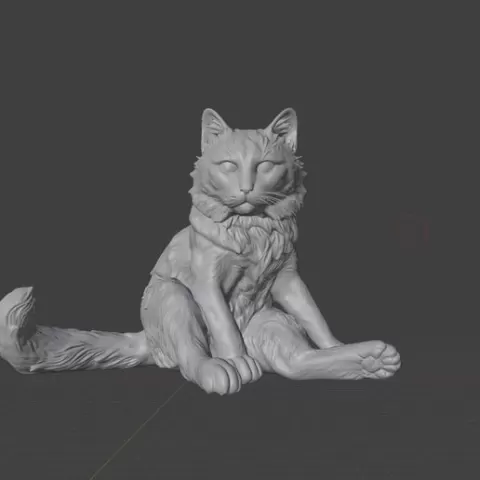 Кот сидит