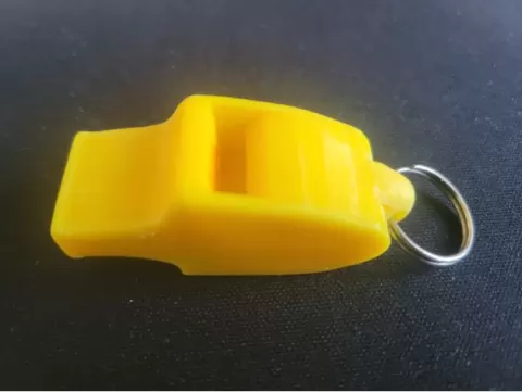 _Dolphin_whistle_D
