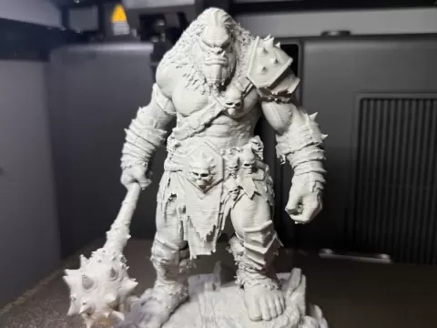 Battle Ready Troll