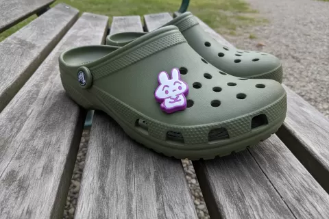 Rabbit Croc / Clod Charm