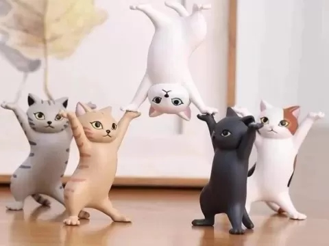 Strong Cat Holder