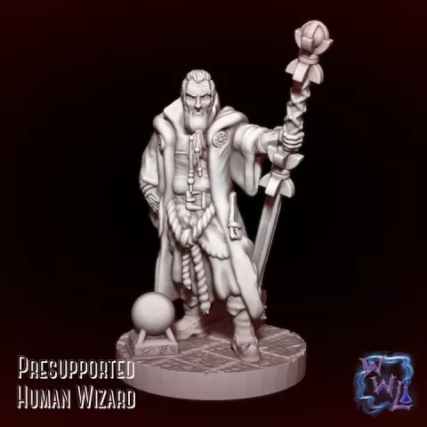 Human Wizard | Presupported by Wicked Wizard Labs