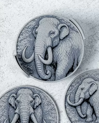 Mammoth Coasters