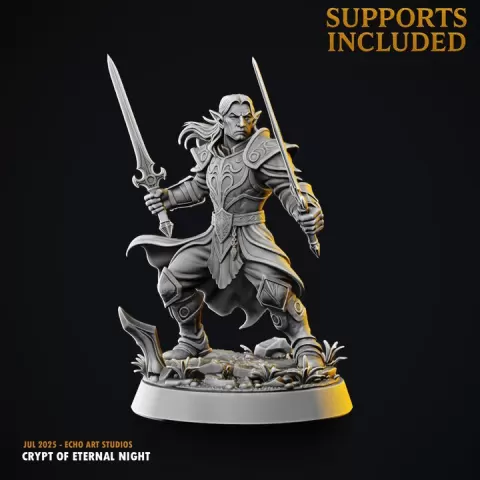 Ilvaris of the Twin Blades - Echo Art - Crypt of Eternal Night by Echo Art Studios